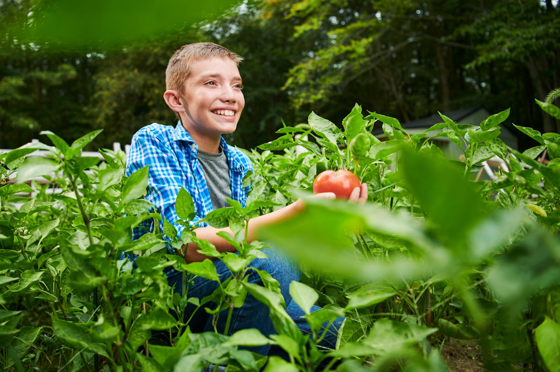 Jakob holding a tomato in his garden